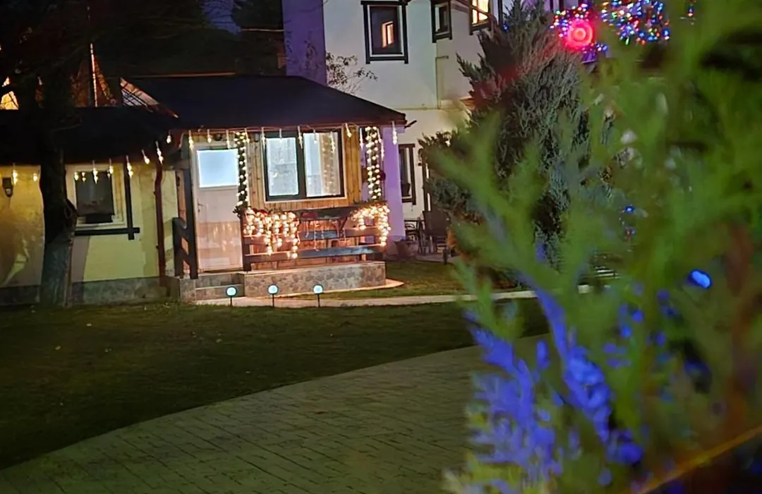 Casa cu Flori-1