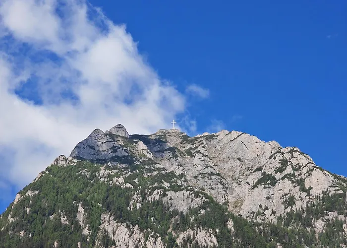 Pensiunea Luminita La 50M De Partia Kalinderu Buşteni